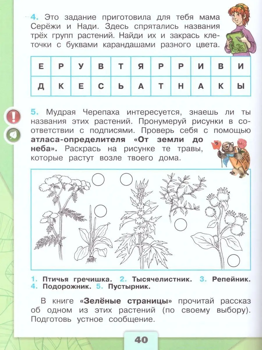 Окружающий мир 2 класс.Рабочая тетрадь в 2-х частях.Комплект Просвещение  15374859 купить за 767 ₽ в интернет-магазине Wildberries