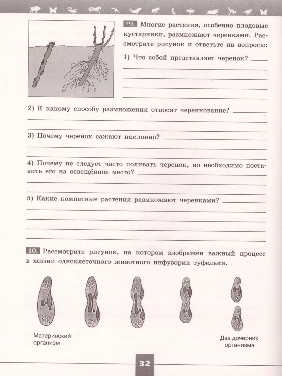 Биология 6 класс. Рабочая тетрадь. ФГОС Просвещение 15382825 купить за 395  ₽ в интернет-магазине Wildberries