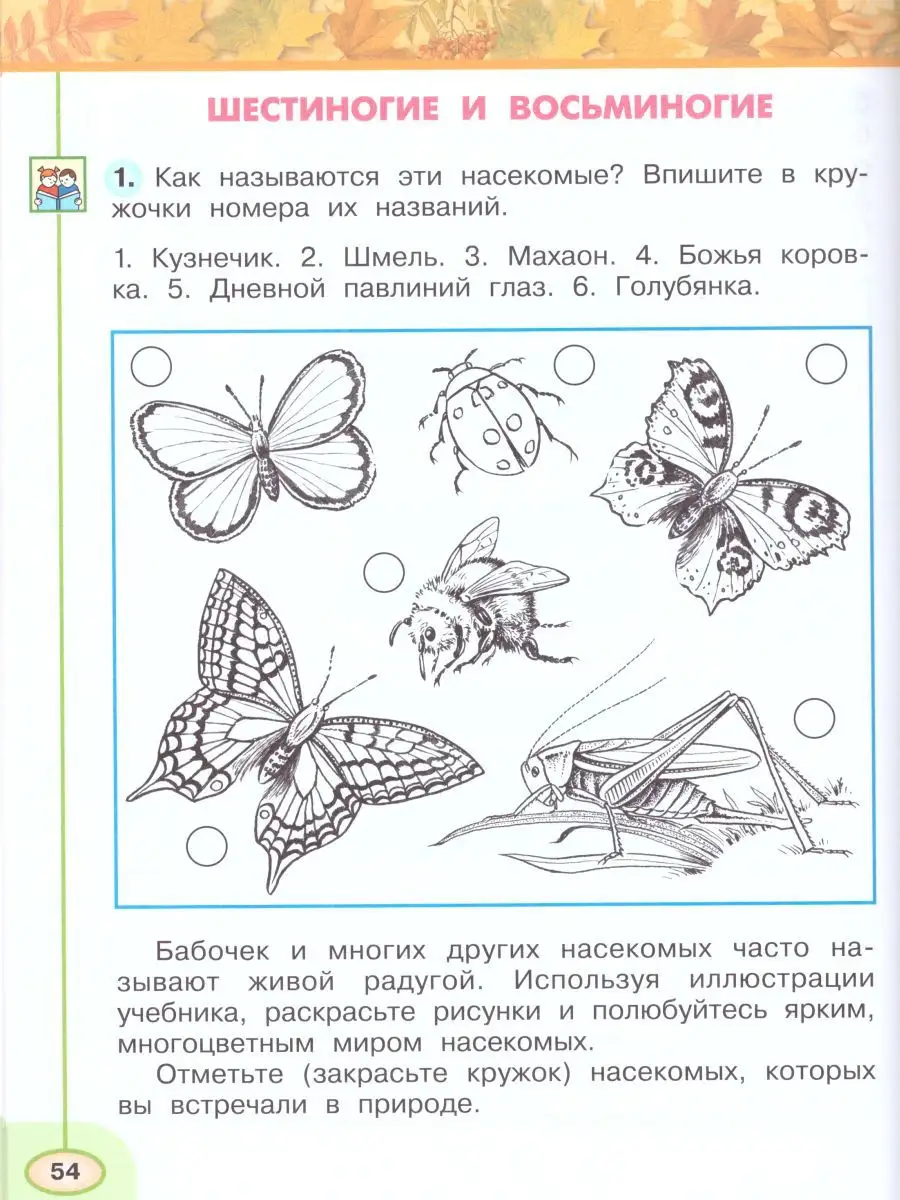 Окружающий мир 2 класс.Рабочая тетрадь в 2-х частях.Комплект Просвещение  15382848 купить за 569 ₽ в интернет-магазине Wildberries