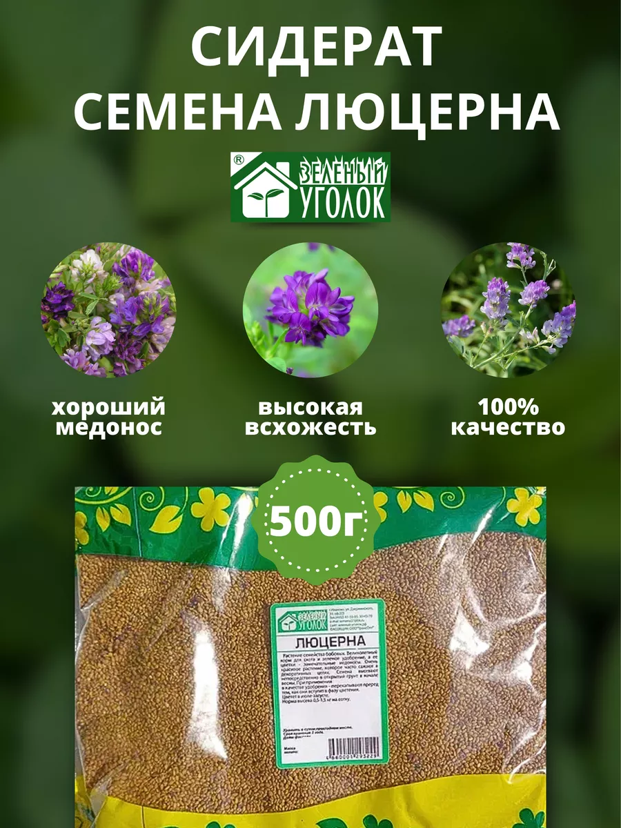 Где Купить Татарстане Мамадышском Районе Семена Люцерны
