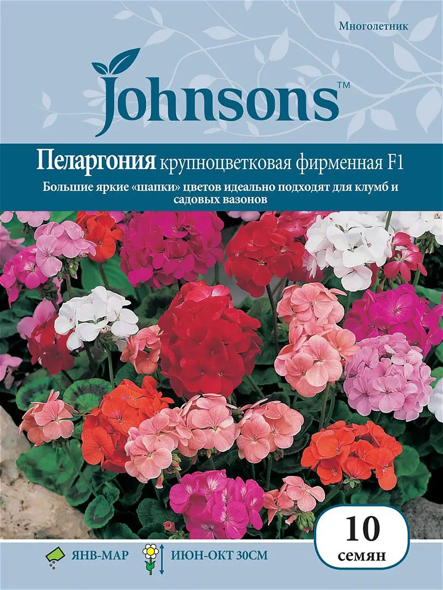 Пеларгония Зональная Купить В Горшке