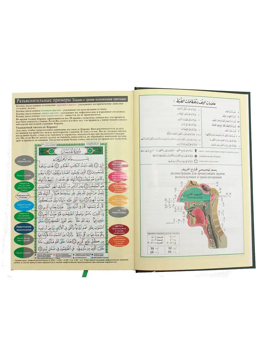Книга Коран на арабском языке Мусхаф 20x28 см. с таджвидом ЧИТАЙ-УММА  15507427 купить за 843 ₽ в интернет-магазине Wildberries