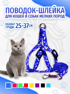 Поводок шлейка для кошек и собак Werlion 15520185 купить за 172 ₽ в интернет-магазине Wildberries