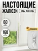 Жалюзи на окна пластиковые горизонтальные 60 на 160 Sola 15524763 купить за 701 ₽ в интернет‑магазине Wildberries