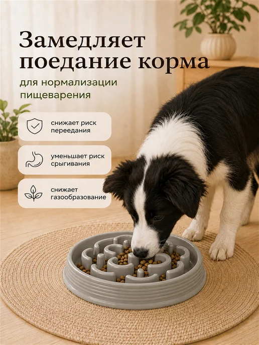 TARHONG Миска для медленного поедания корма, 24.8х24.8х4см, 24.8x24.8, фото 3
