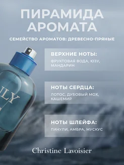 Туалетная вода мужская The Only Winner 100 мл CHRISTINE LAVOISIER