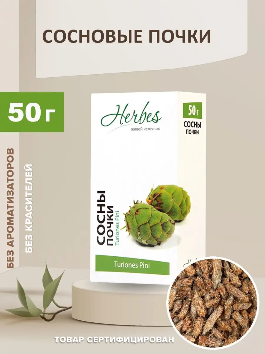 Сосновые почки россыпь 50г Herbes 15594558 купить в интернет-магазине  Wildberries