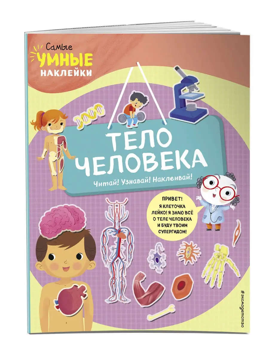 Тело человека (с наклейками)