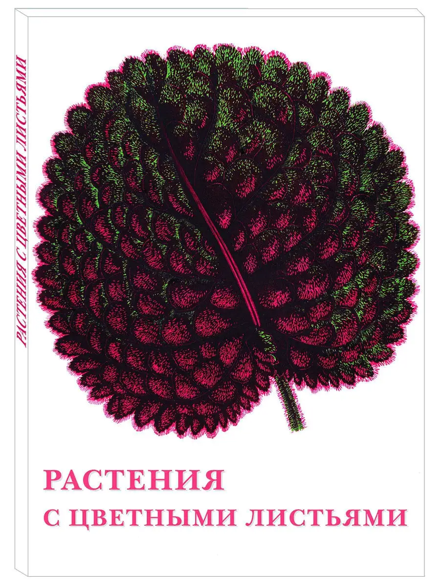 Растения с цветными листьями(Набор открыток) Белый Город / Воскресный день  15659023 купить за 283 ₽ в интернет-магазине Wildberries