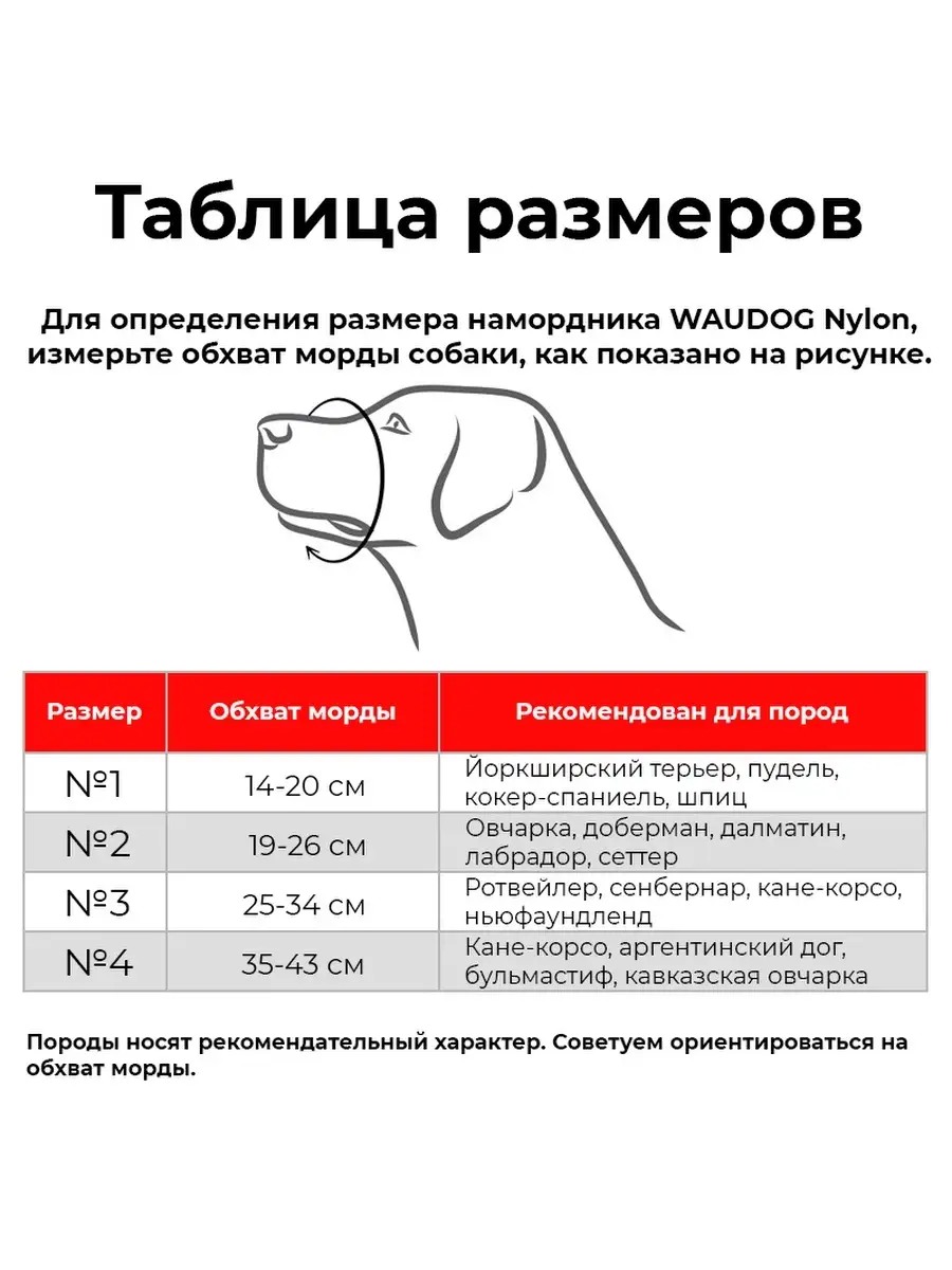 Размеры намордника для собак таблица. Корсет для осанки размеры. Намордник для собак hunter international, размер 2. Размеры намордников для собак. Размеры намордников для собак.
