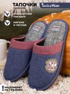 Тапочки домашние Smile of Mister 15674841 купить за 336 ₽ в интернет-магазине Wildberries