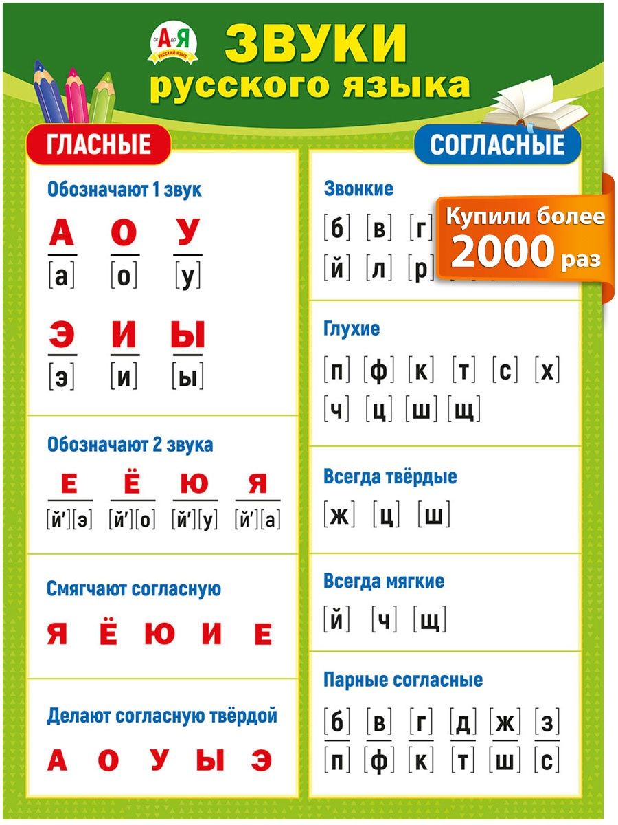 плакат обучающий русский язык для ребенка школа детский сад ТМ Мир  поздравлений 15708619 купить за 194 ₽ в интернет-магазине Wildberries