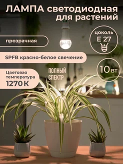 Фитолампа для растений полного спeктра 10 Вт SPFB E27 Uniel 15708903 купить за 341 ₽ в интернет-магазине Wildberries