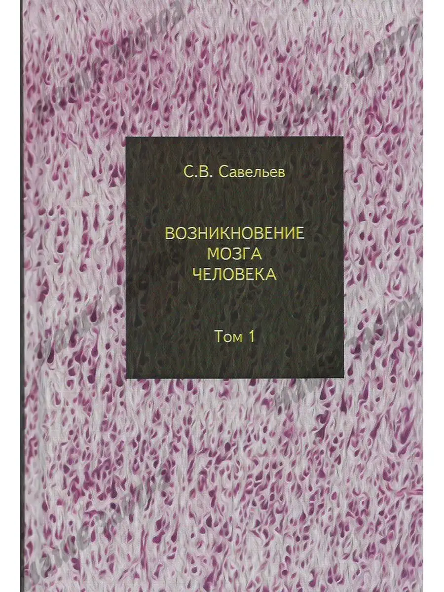 Возникновение мозга человека: Том 1. Савельев С.В. Издательство Веди  15715817 купить за 2 092 ₽ в интернет-магазине Wildberries