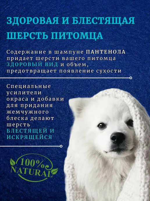Bio-Groom Профессиональный шампунь для собак, 355 мл, фото 2