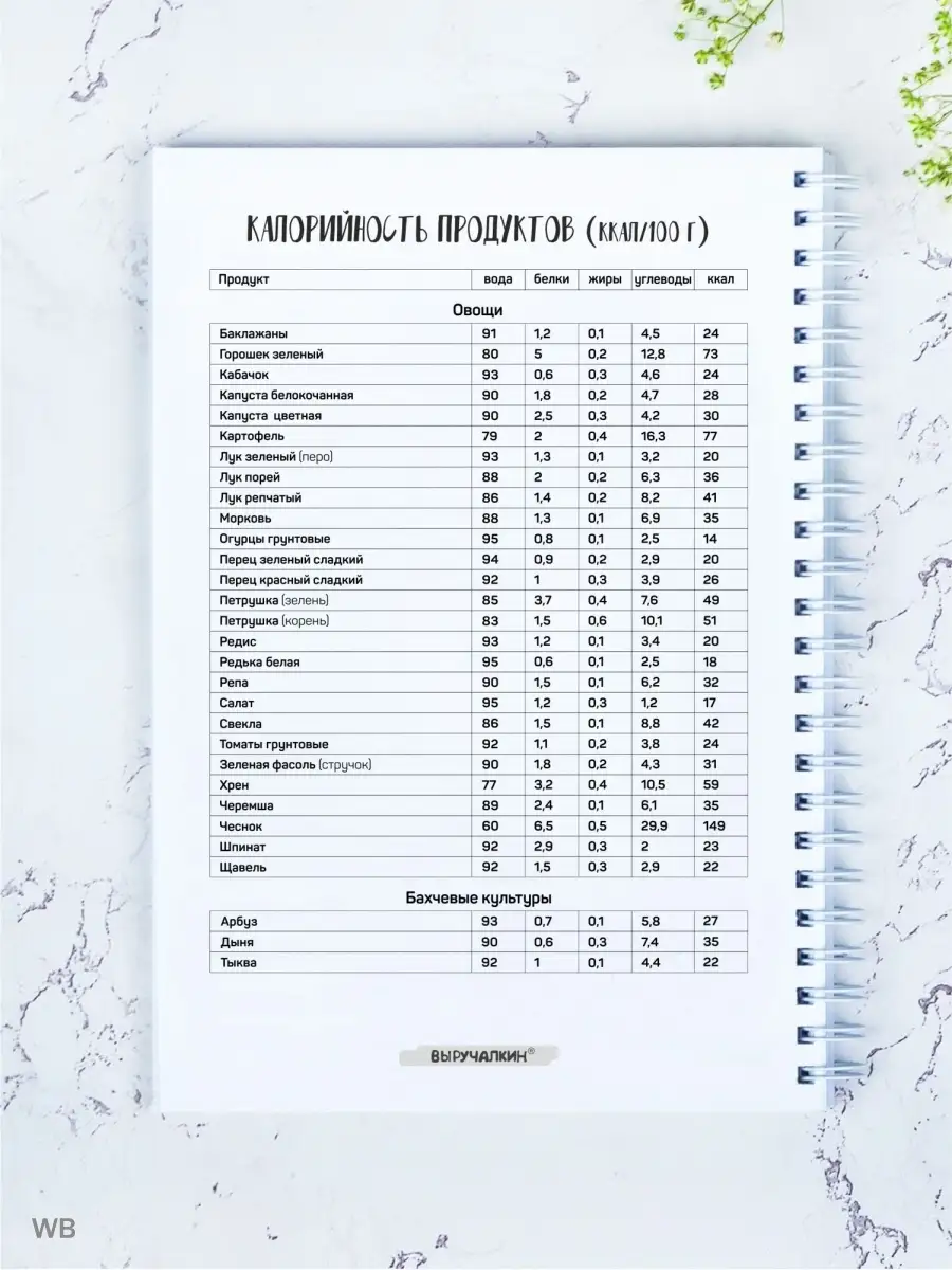 Дневник тренировок, фитнес, спорт. А5 Выручалкин 15827888 купить за 306 ₽ в  интернет-магазине Wildberries