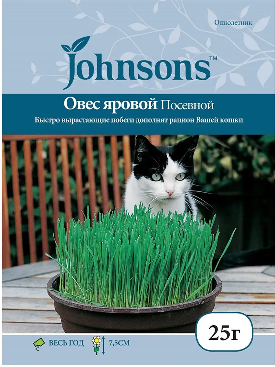 Трава для кошек (семена овса ярового) 2 пакета по 25 грамм Johnsons  15911323 купить в интернет-магазине Wildberries