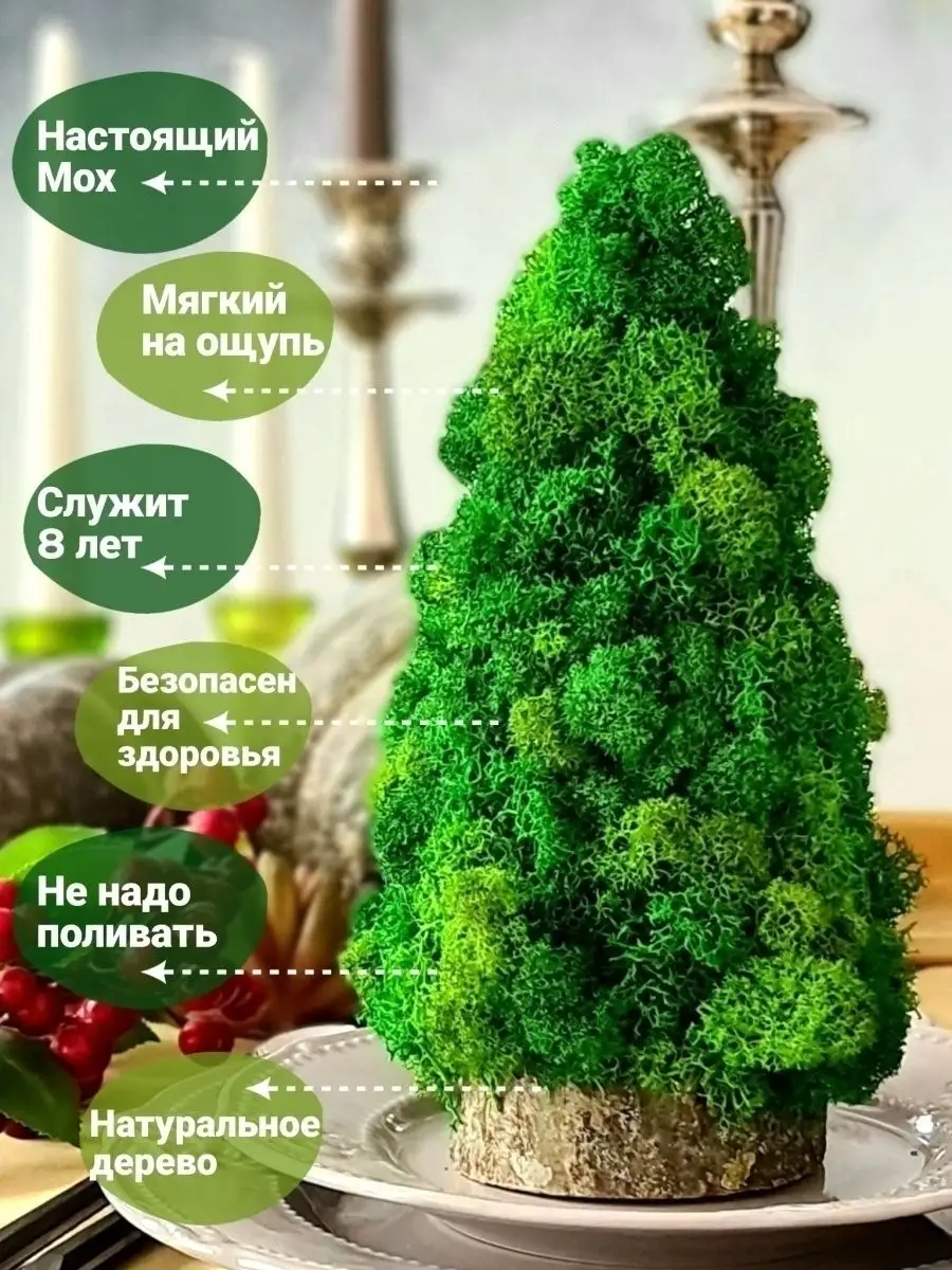 savinomuseum.ru | декабрь - январь by savinomuseum.ru - Issuu