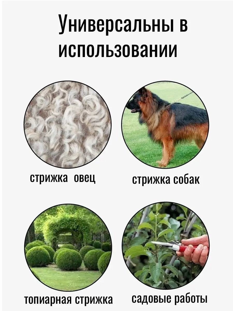 Ножницы для стрижки овец, для ниток,аксессуары для дома,дачи ножницы  15926759 купить в интернет-магазине Wildberries