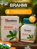 Брахми тоник для мозга и памяти, 60 таб Himalaya Herbals 15937695 купить за 465 ₽ в интернет‑магазине Wildberries