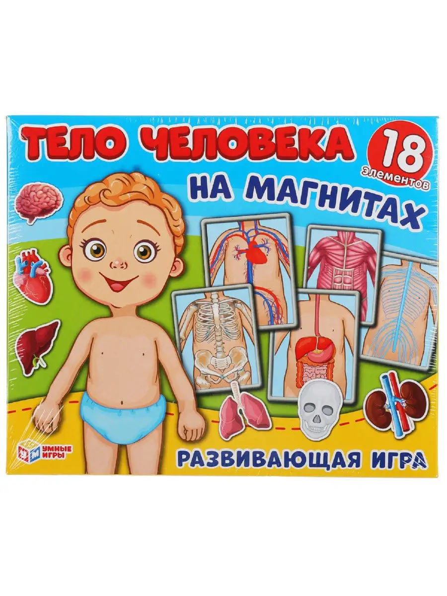 Развивающая игра на магнитах 