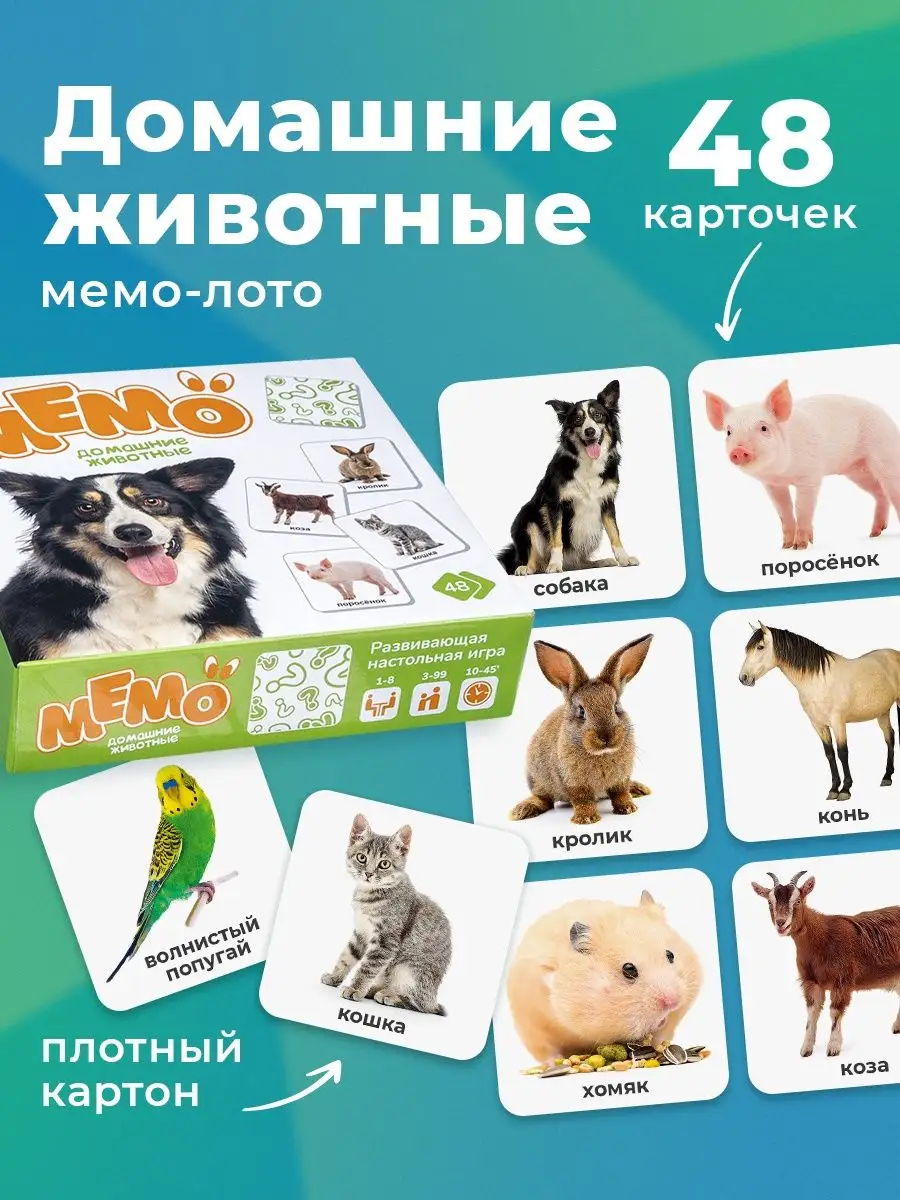 Развивающая игра Мемо Домашние животные Домино. 16062955 купить за 510 ₽ в  интернет-магазине Wildberries