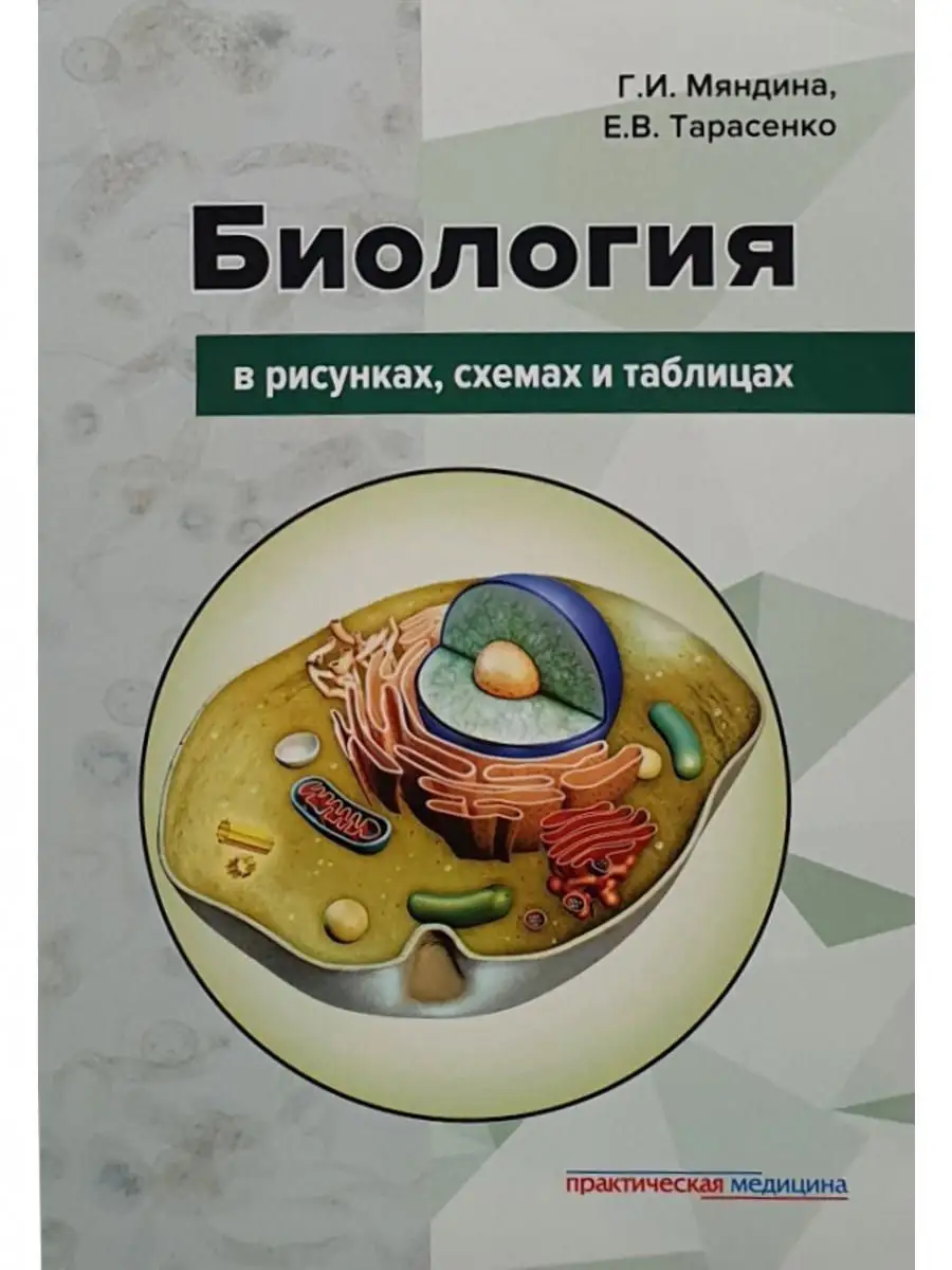 Биология в рисунках, схемах и таблицах: Практическая медицина 16071389  купить в интернет-магазине Wildberries