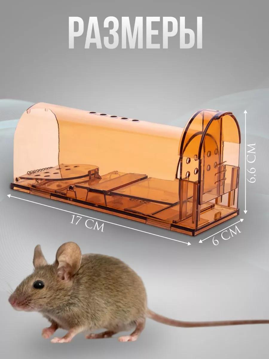 Мышеловка живоловка гуманная для мышей