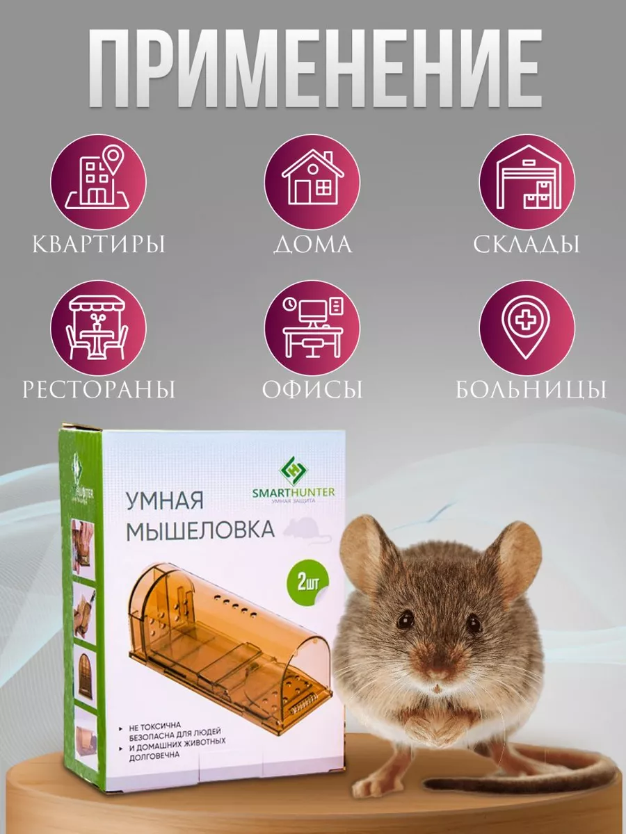 Мышеловка живоловка гуманная для мышей SmartHunter 16113206 купить в  интернет-магазине Wildberries