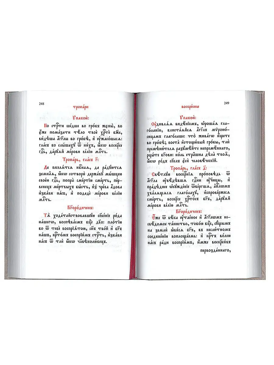 Часослов. Церковно-славянский шрифт Скрижаль 16148139 купить за 724 ₽ в  интернет-магазине Wildberries