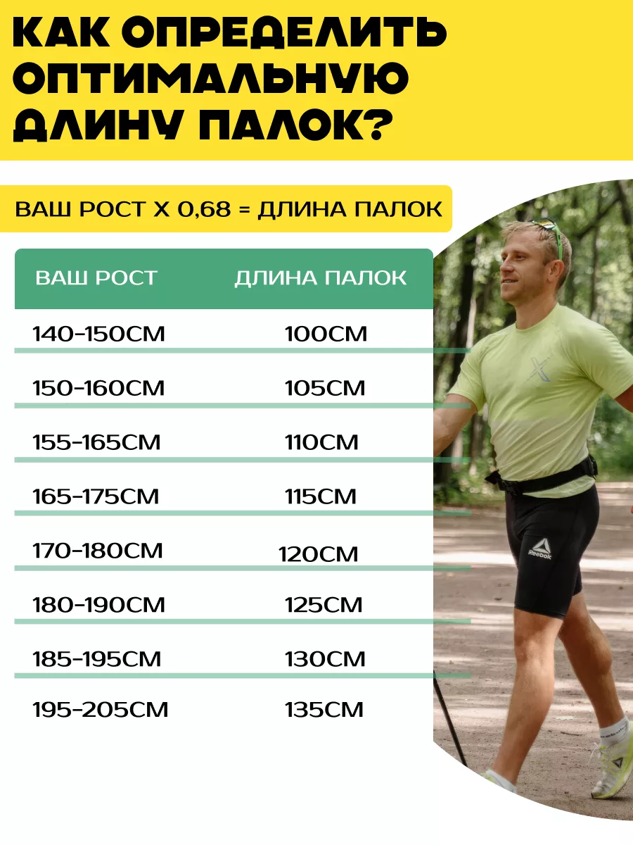 BR Палки для скандинавской ходьбы цельные карбон 60% Finpole 16236208  купить за 1 685 ₽ в интернет-магазине Wildberries