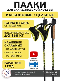 BR Палки для скандинавской ходьбы цельные карбон 60% Finpole 16236208 купить за 1 858 ₽ в интернет-магазине Wildberries