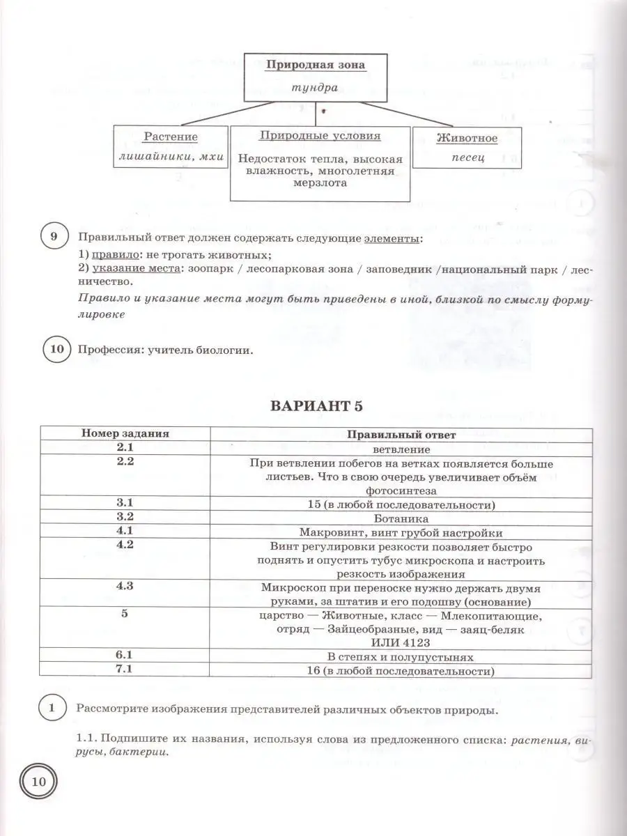 ВПР Биология 5 класс 10 вар Экзамен 16289019 купить в интернет-магазине  Wildberries