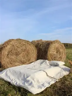 Постельное белье из льна - 2 спальный Льняная Лавка 16316543 купить за 6 168 ₽ в интернет-магазине Wildberries