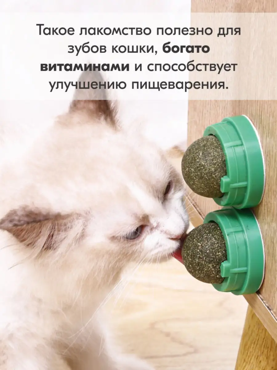 Мятный шарик для кошек 3 см, зеленый Pets & Friends 16348278 купить в  интернет-магазине Wildberries