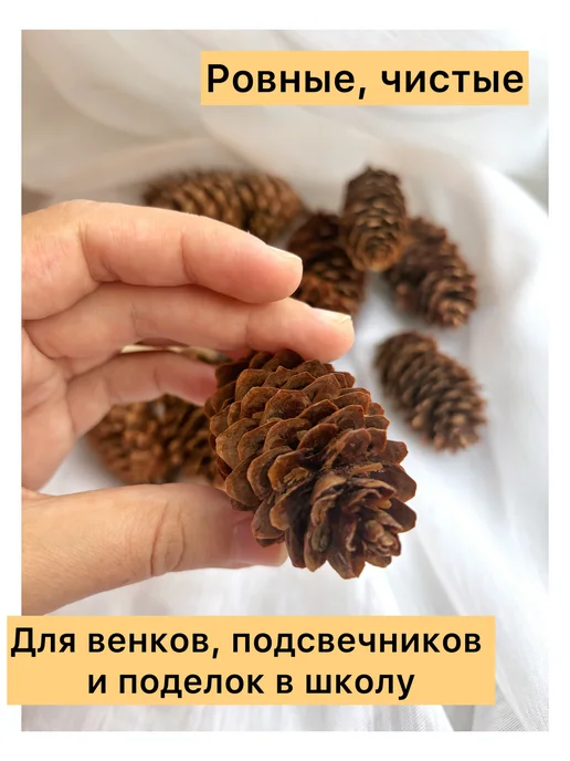 Лавка рукоделия Шишки еловые для поделок 14шт, d6.5-9см, 14 шт, фото 3