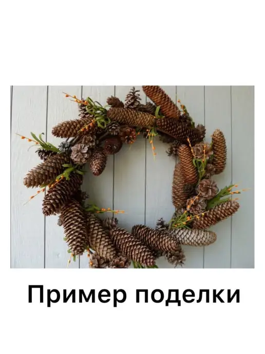 Лавка рукоделия Шишки еловые для поделок 14шт, d6.5-9см, 14 шт, фото 6