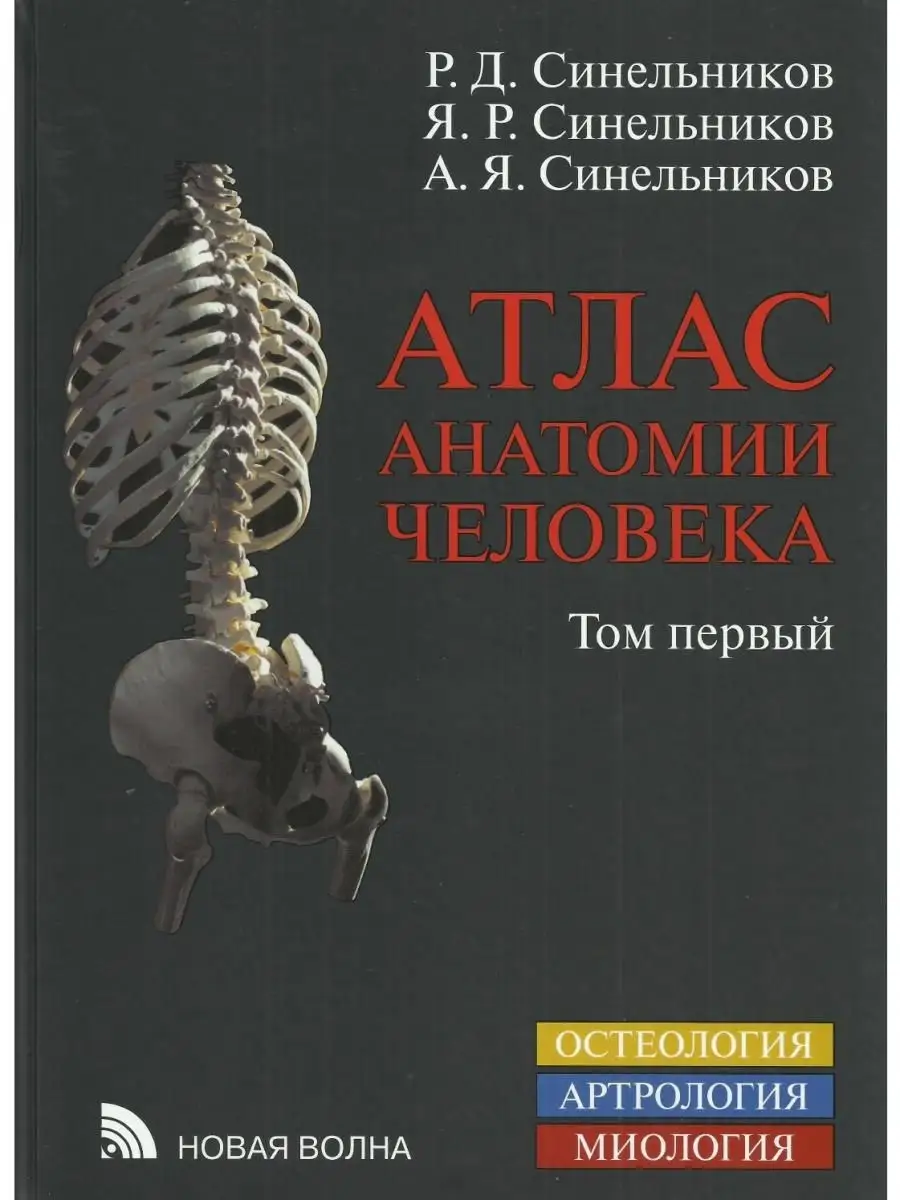 Атлас анатомии человека. Том 1. Новая Волна 16386053 купить за 5 768 ₽ в  интернет-магазине Wildberries