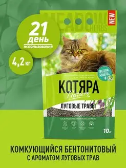 Наполнитель для кошек комкующийся Луговые травы, 4.2 кг Котяра 16404175 купить за 389 ₽ в интернет‑магазине Wildberries