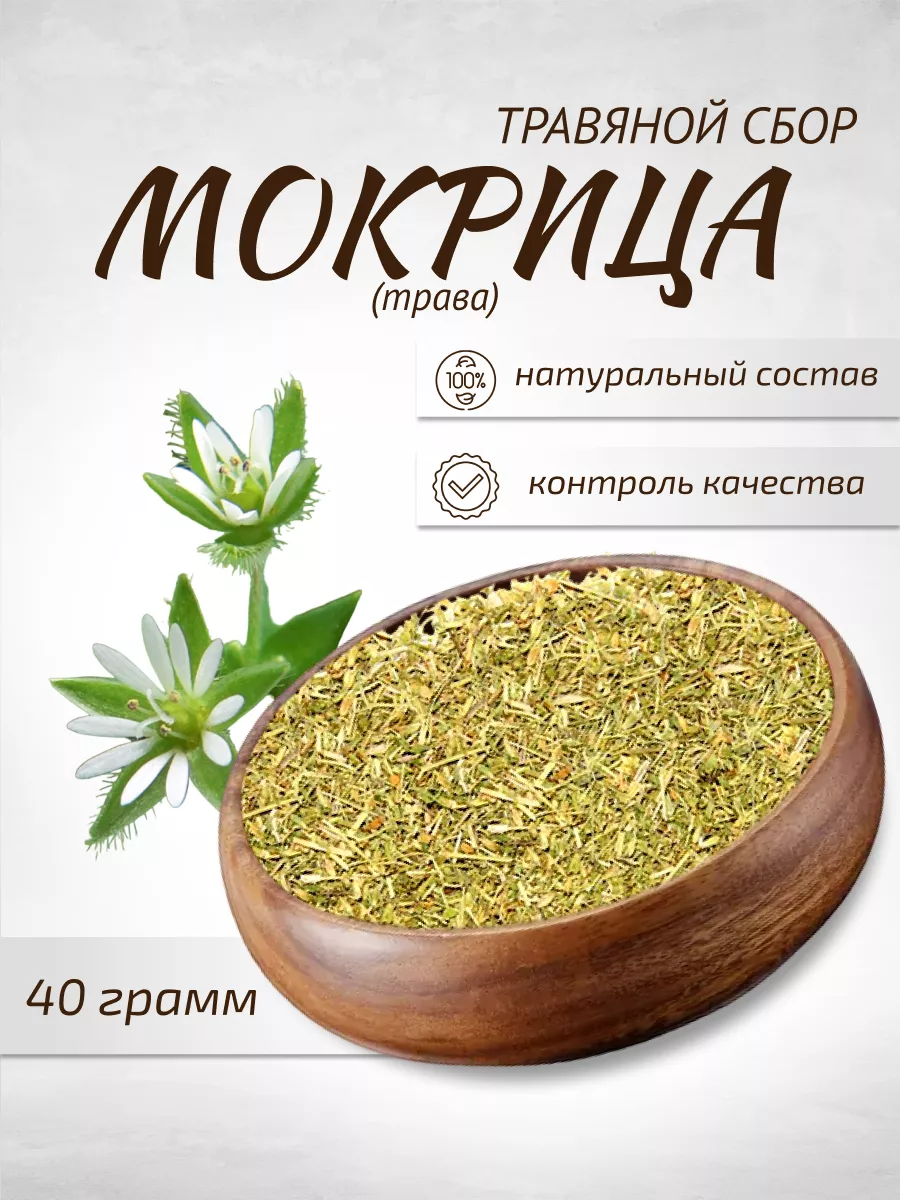 Мокрица(Звездчатка средняя)