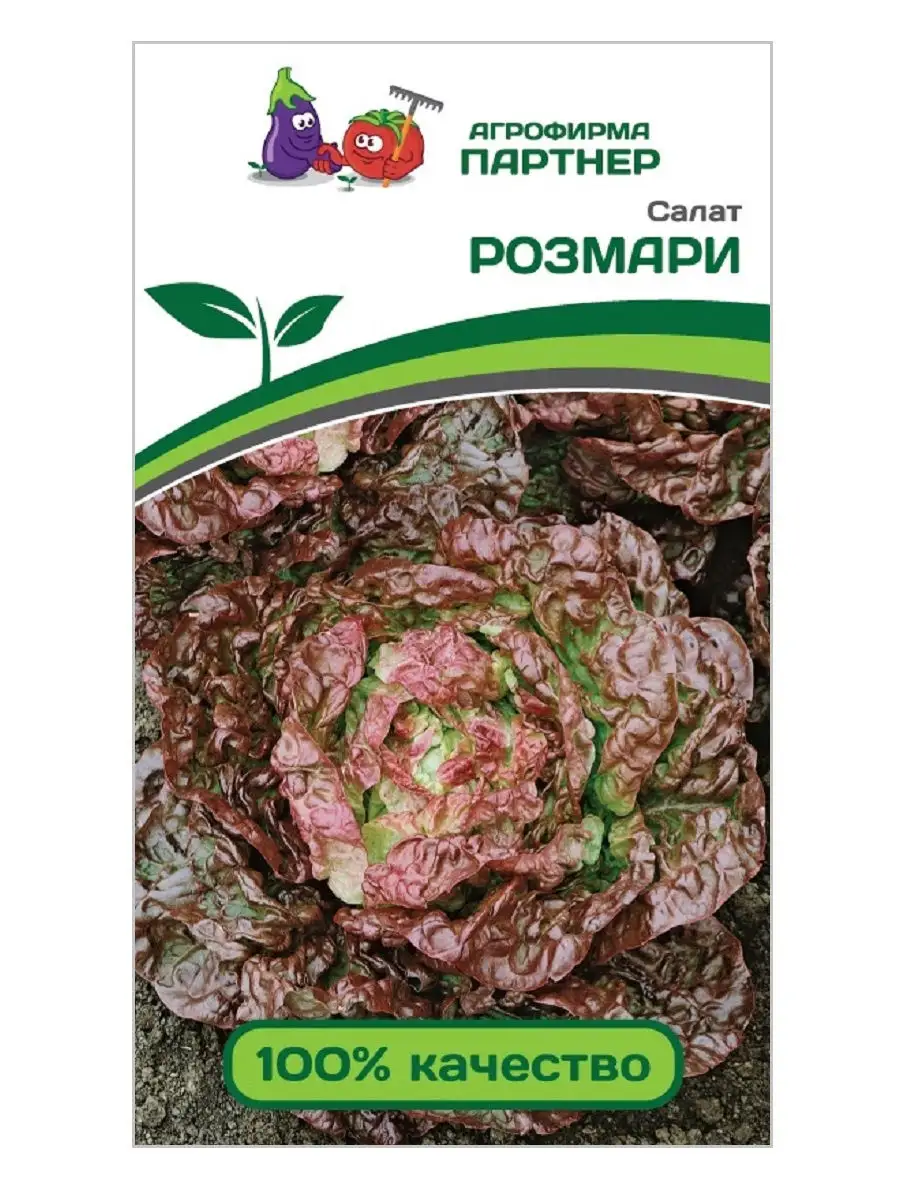 Семена Салат кочанный Розмари, 1г