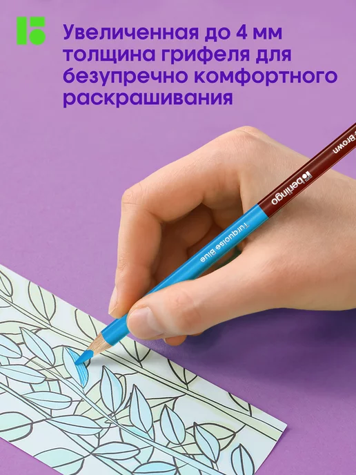 Berlingo Карандаши цветные для рисования мягкие, 24 цвета, для школы, 24 цв., фото 4