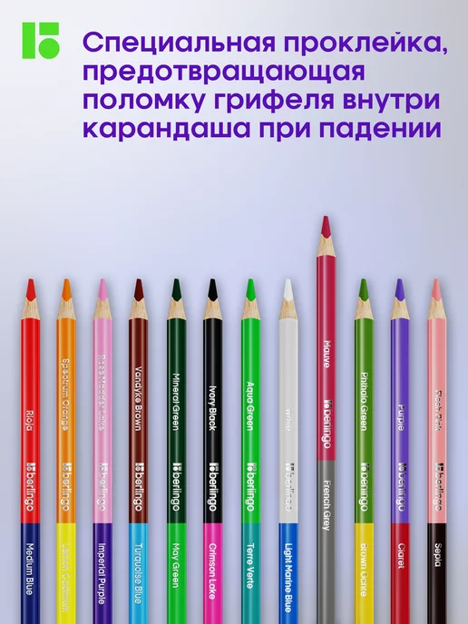 Berlingo Карандаши цветные для рисования мягкие, 24 цвета, для школы, 24 цв., фото 5