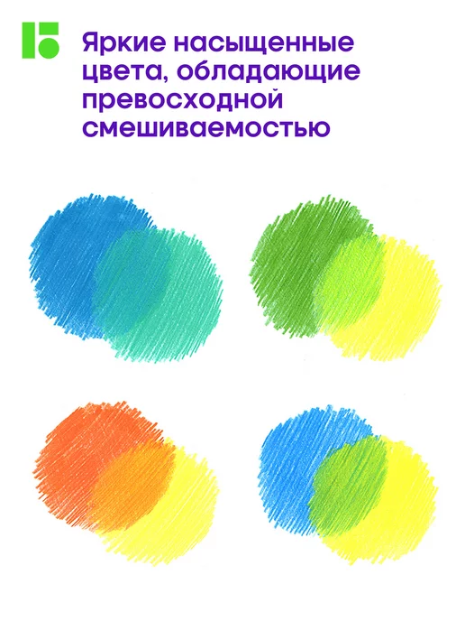 Berlingo Карандаши цветные для рисования мягкие, 24 цвета, для школы, 24 цв., фото 7