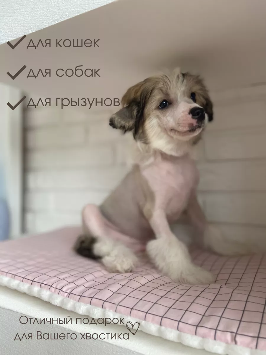 Лежанка на подоконник для кошек и собак L_Pets 16480969 купить за 755 ₽ в  интернет-магазине Wildberries