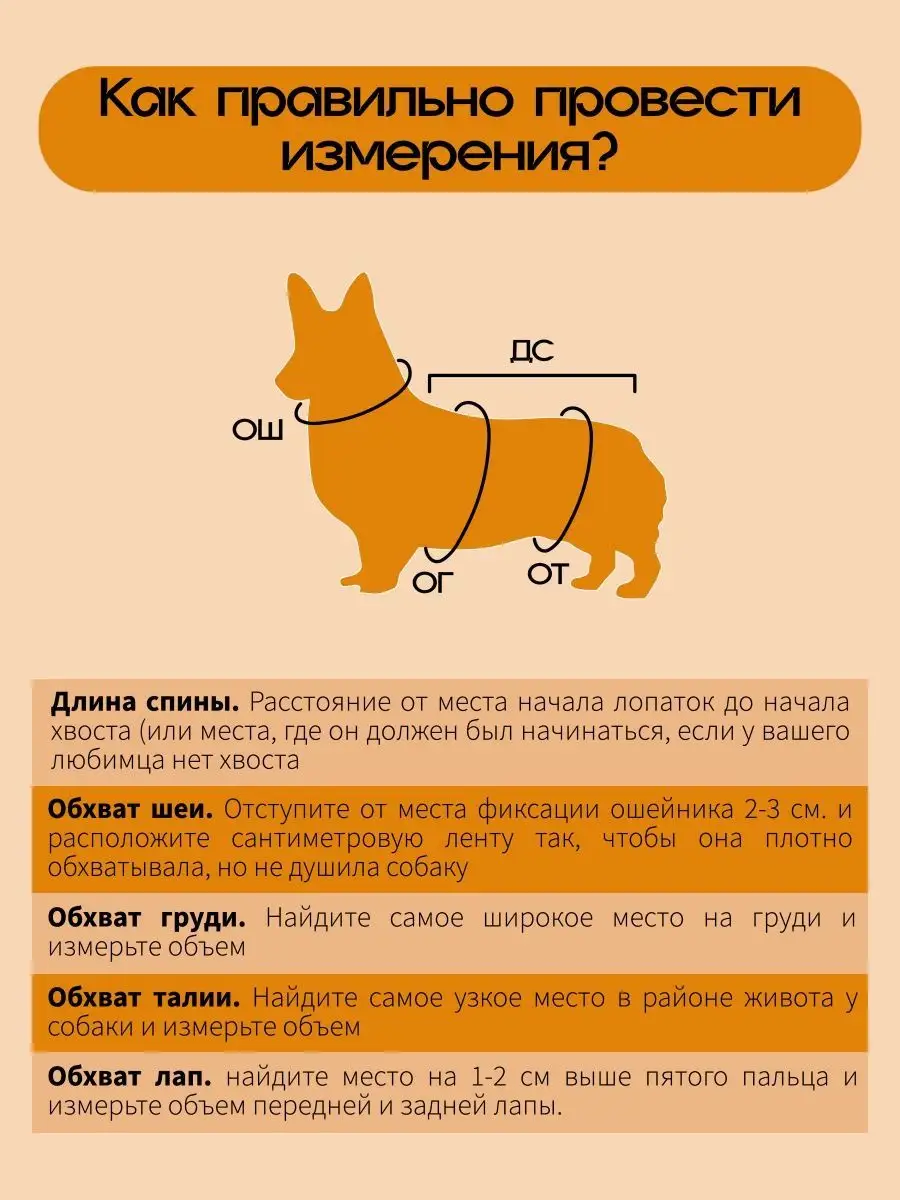 Грязезащитный комбинезон c тонким подкладом для Корги Самец DiploDog  16535302 купить за 2 907 ₽ в интернет-магазине Wildberries