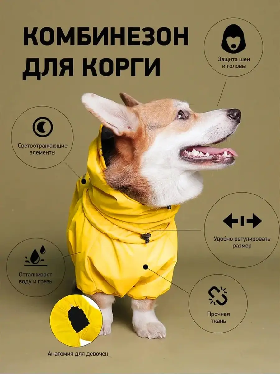 Одежда для собак корги и других пород