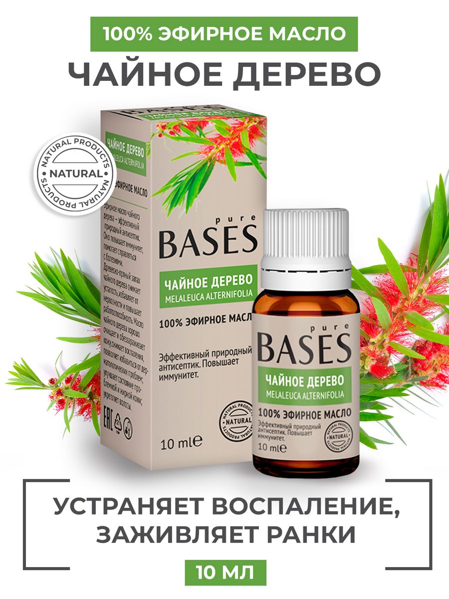 Эфирное масло чайного дерева PURE BASES 16549795 купить за 313 ₽ в  интернет-магазине Wildberries