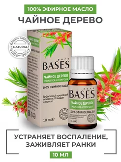 Эфирное масло чайного дерева PURE BASES 16549795 купить за 140 ₽ в интернет-магазине Wildberries