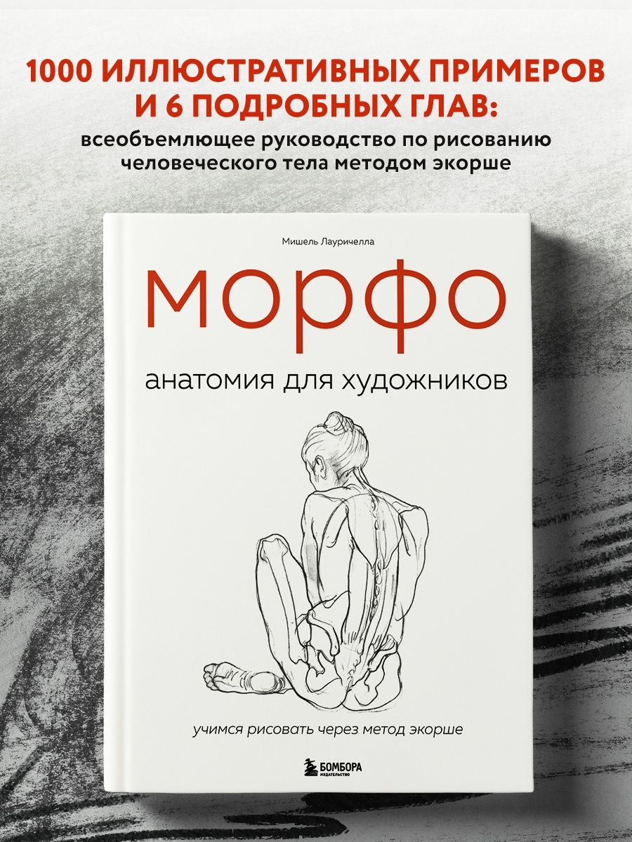 МОРФО. Анатомия для художников Эксмо 16648375 купить за 1 032 ₽ в  интернет-магазине Wildberries